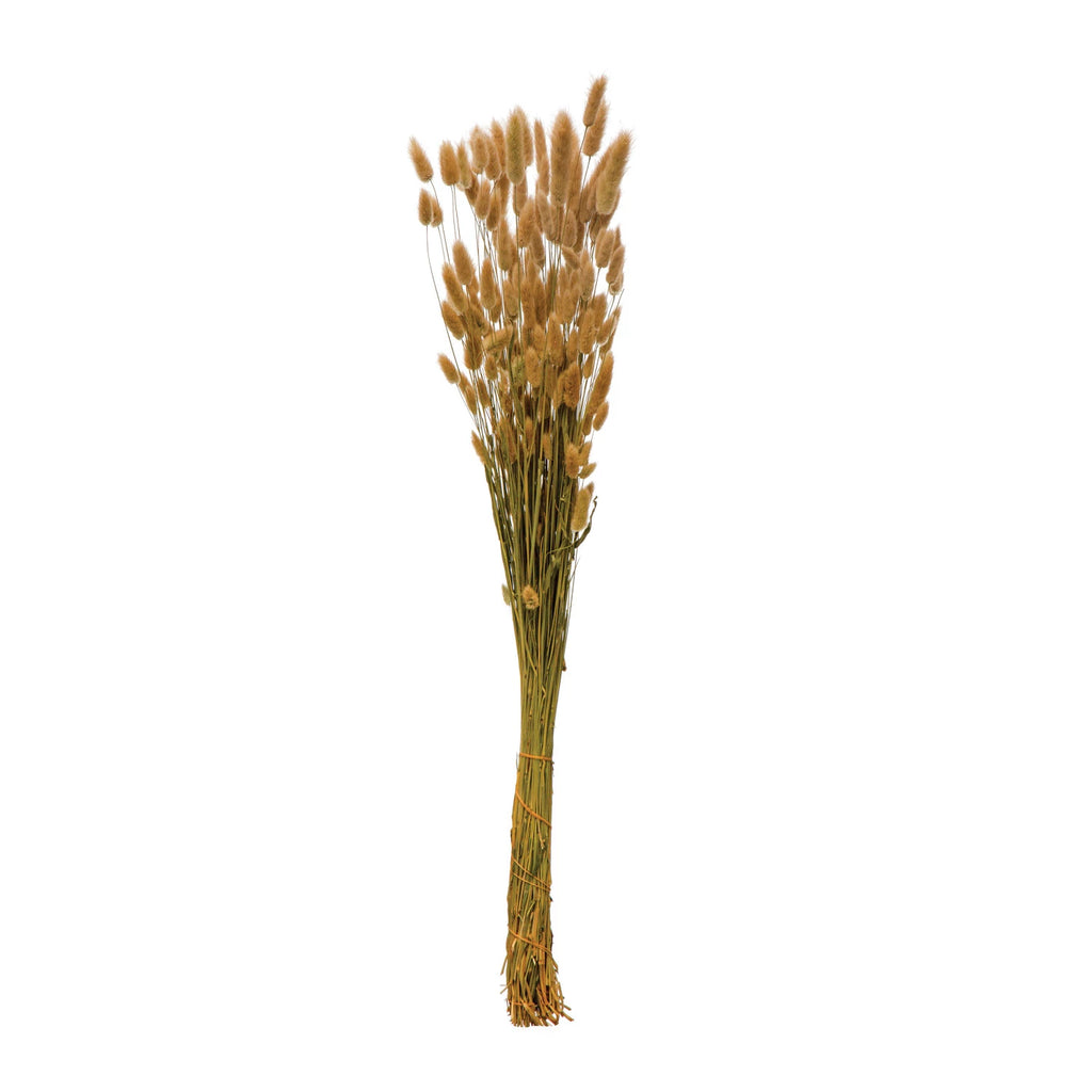 Dried Natural Bunny Tail Bunch, Natural