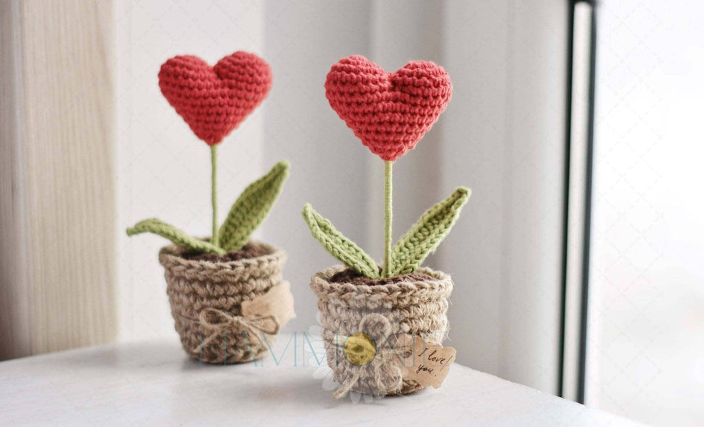 Crochet Heart Plant Pot Gift, Crochet a Plant, Handmade Gift