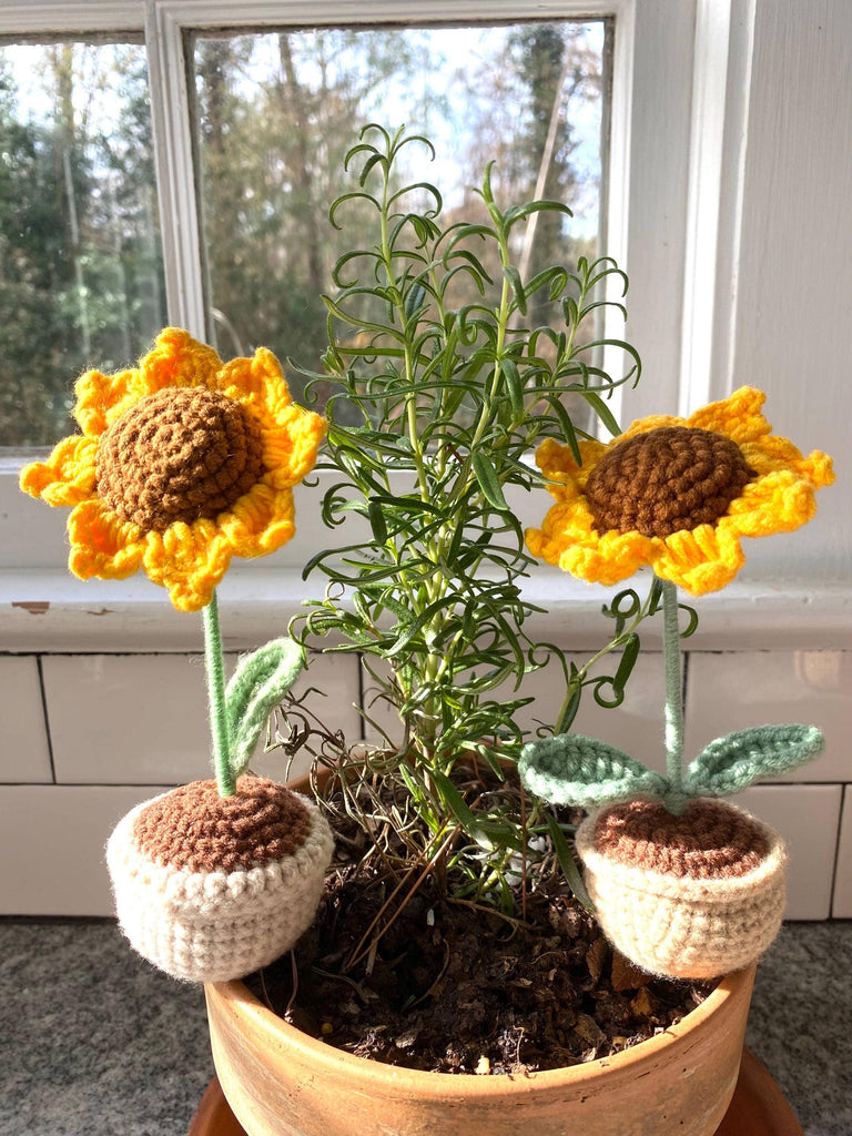 Crocheted Sunflower Pot, Hand-stitched Sunflower in the Pot