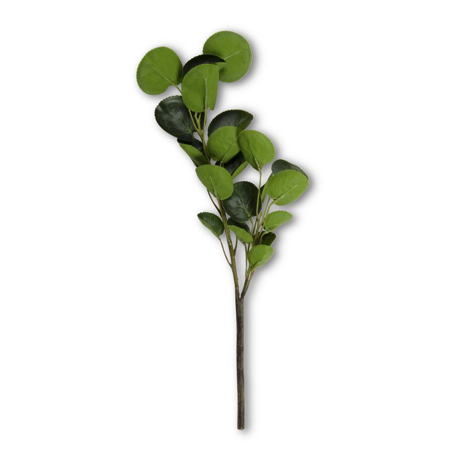 16 Inch 2 Branch Eucalyptus Stem