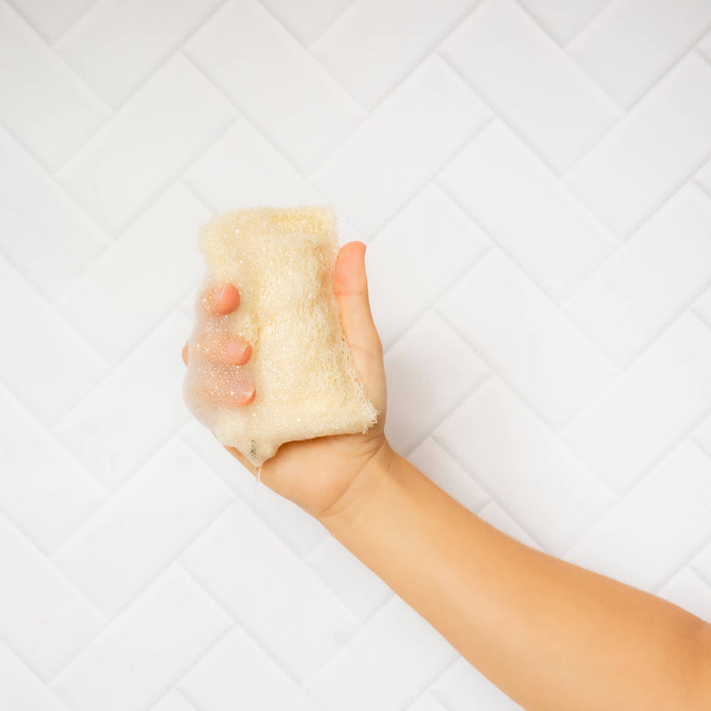 Loofah dish sponge | Luffa