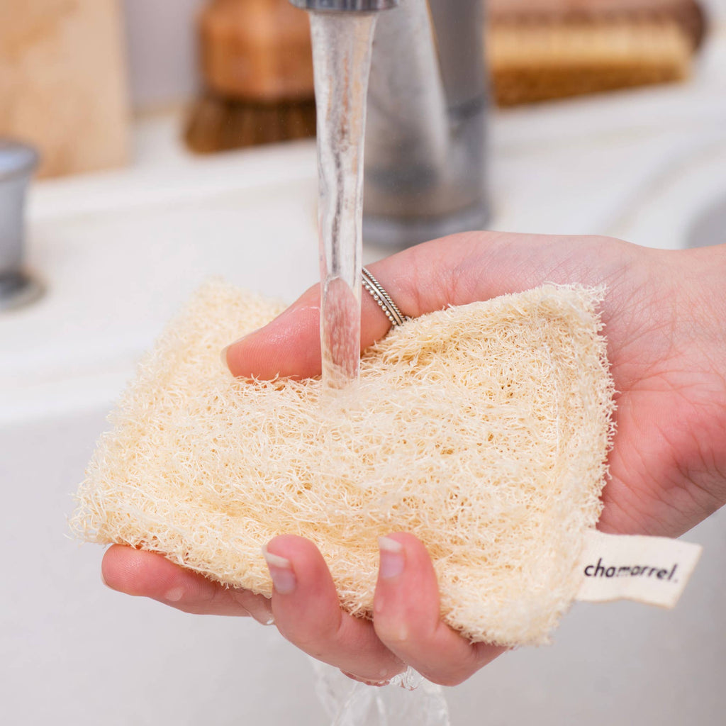 Loofah dish sponge | Luffa