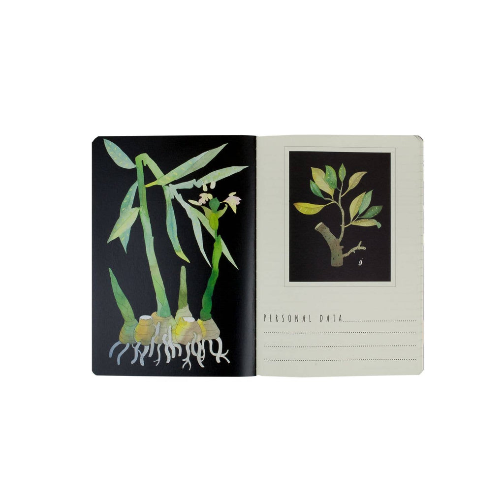 Flora- Original Notebook Collection