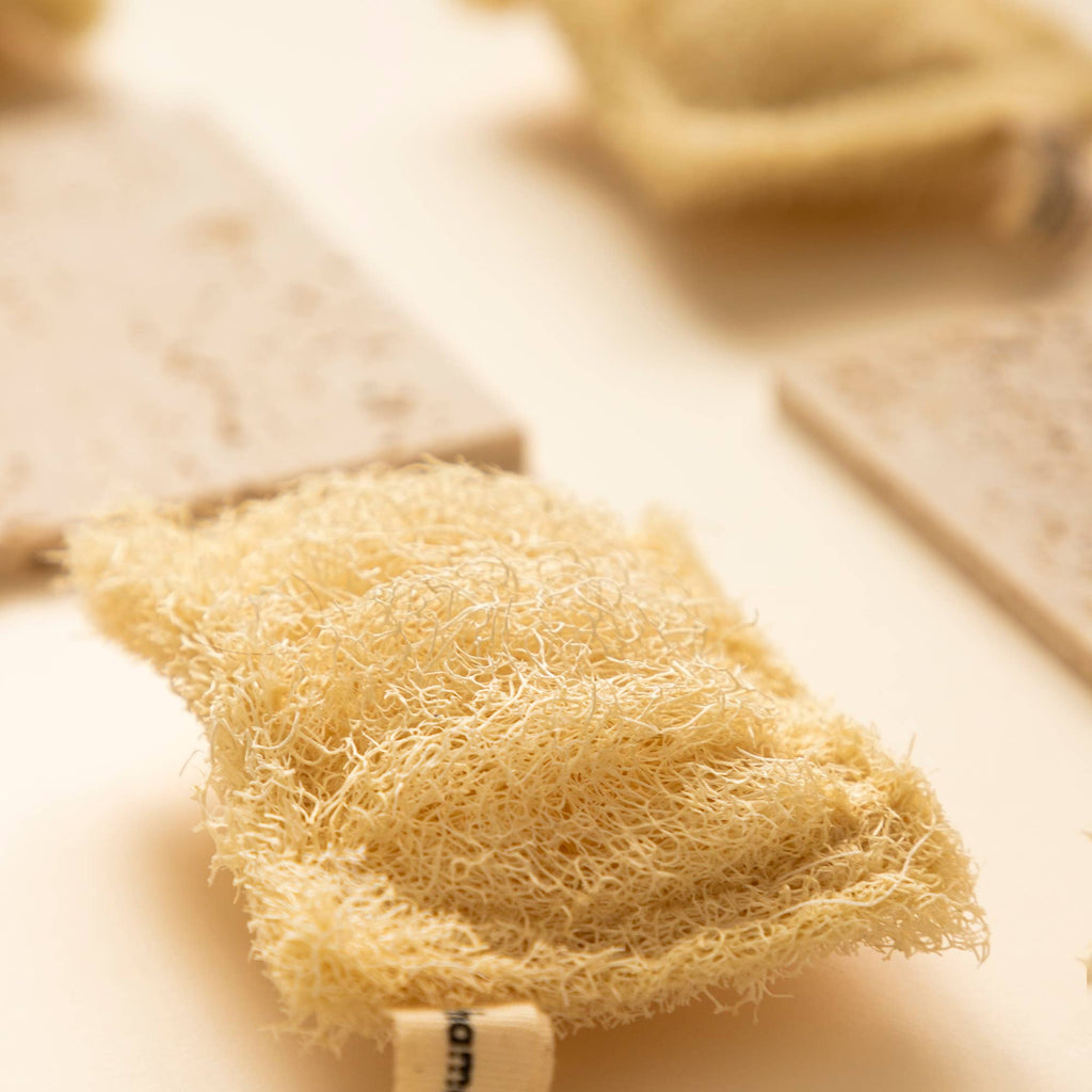 Loofah dish sponge | Luffa