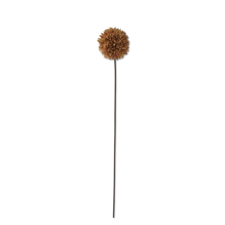 26 Inch Brown Allium Stem