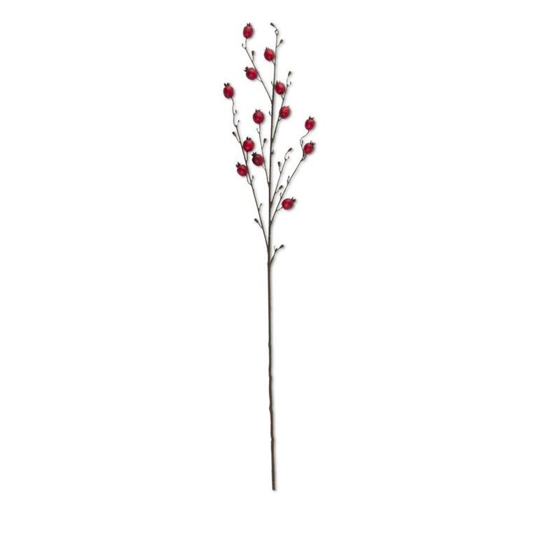 41 Inch Red Rosehip Stem