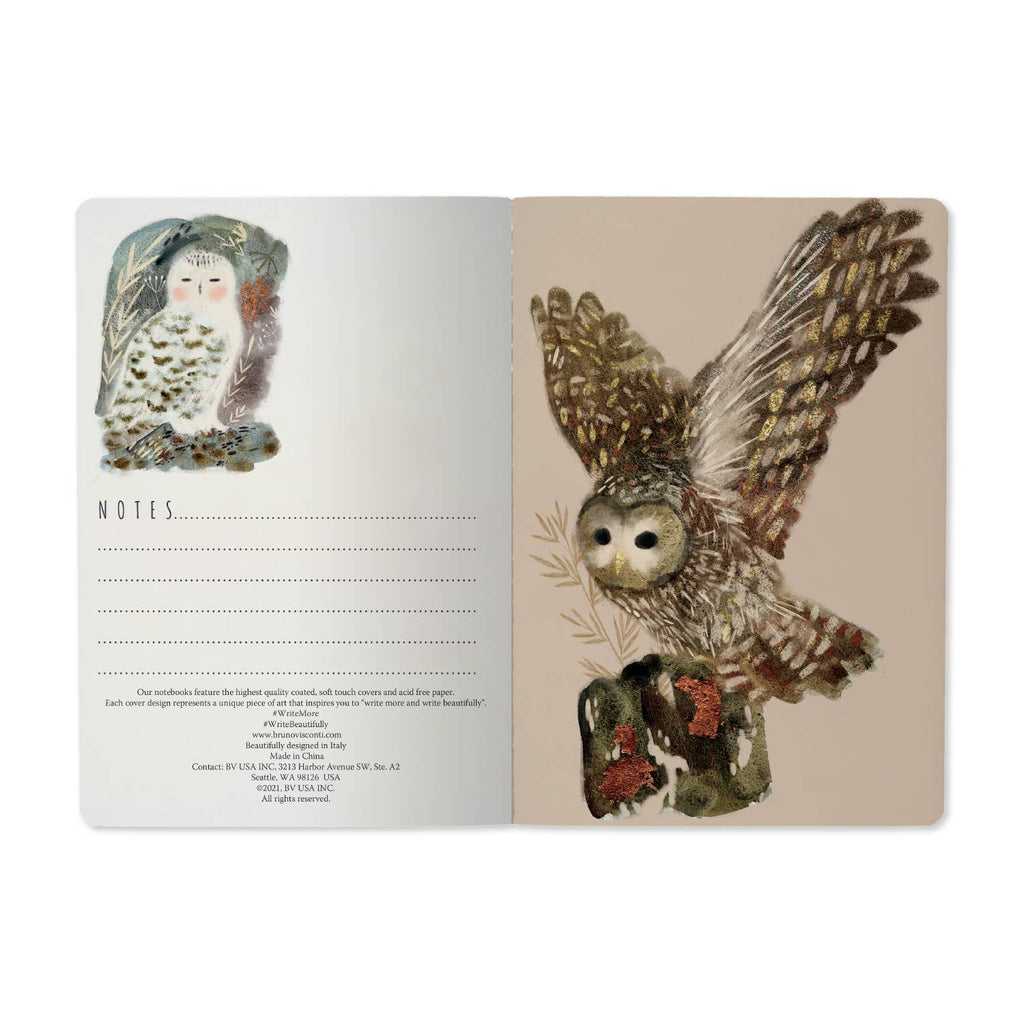 Owls Notebook