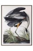 35.5x27.5" BLUE HERON FRAMED W/ GLASS