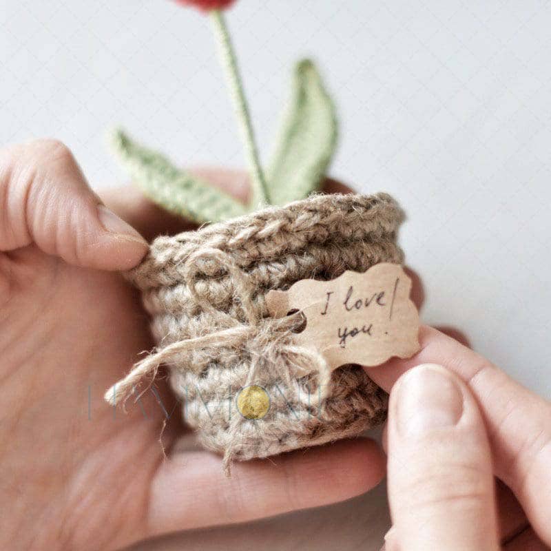 Crochet Heart Plant Pot Gift, Crochet a Plant, Handmade Gift