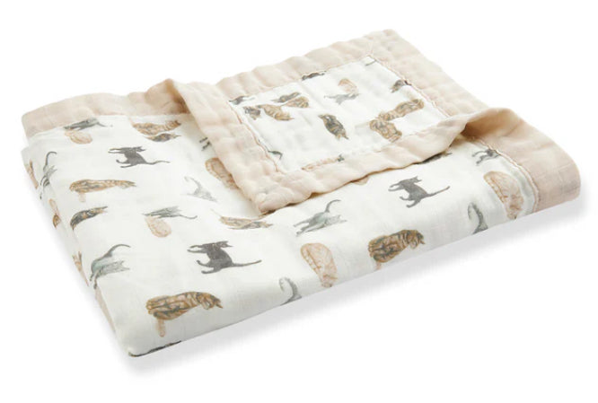 Cat Bamboo Big Lovey