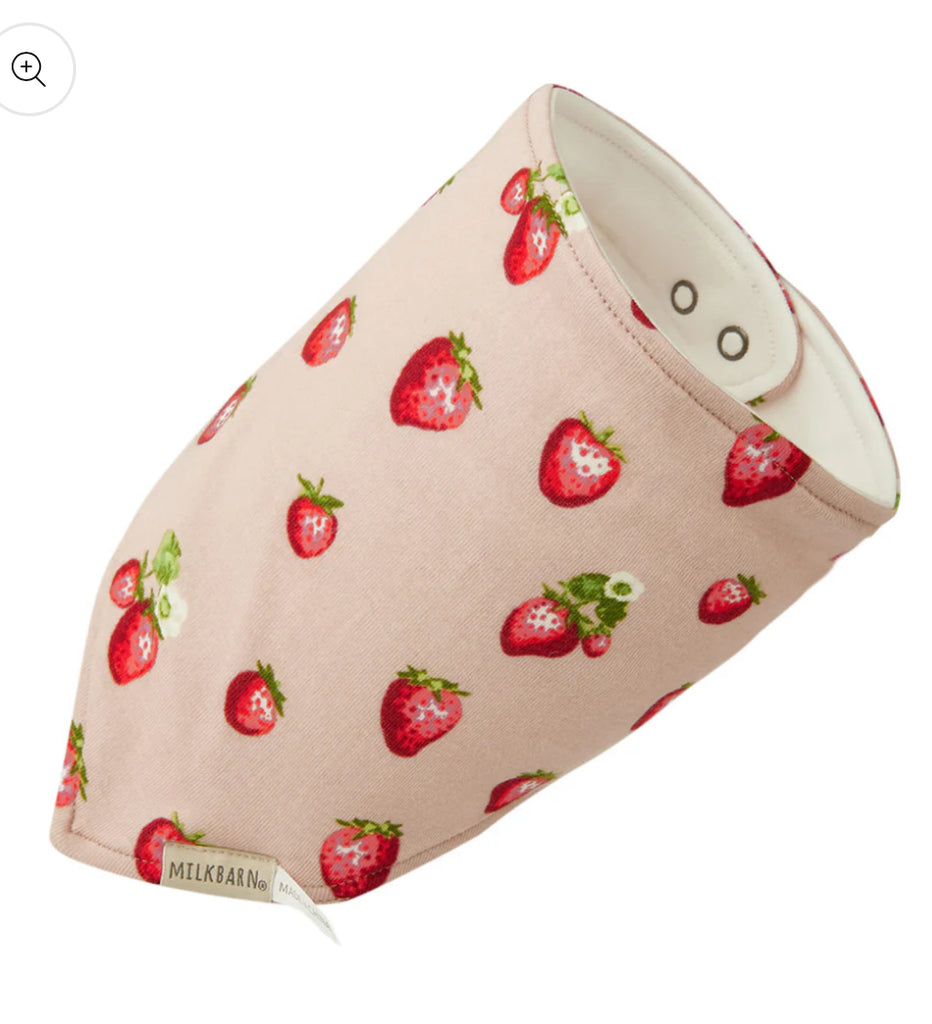 Strawberry Organic Cotton Kerchief Bib