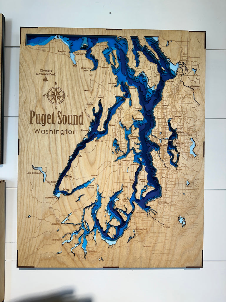 Medium Bathymetric Map - Puget Sound