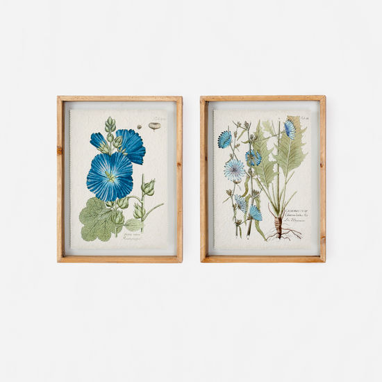 Blue Framed Botanical Print