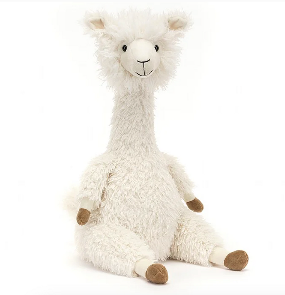 Alonso Alpaca