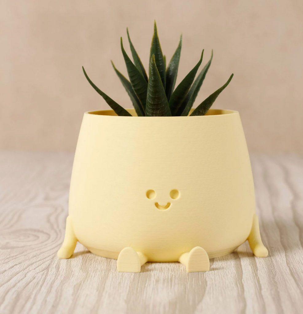 3D happy pot planter Small