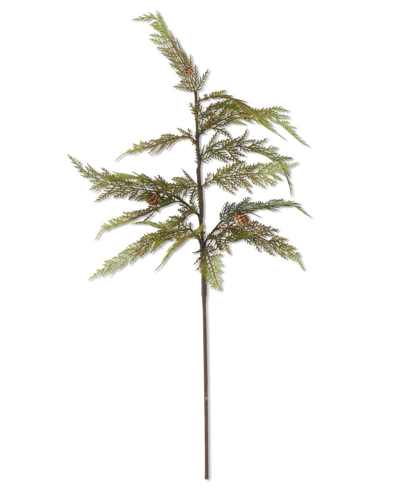 37 Inch Cypress Pine Stem w/Mini Pinecones