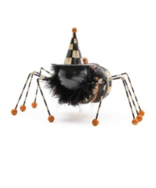 witch's pet spider