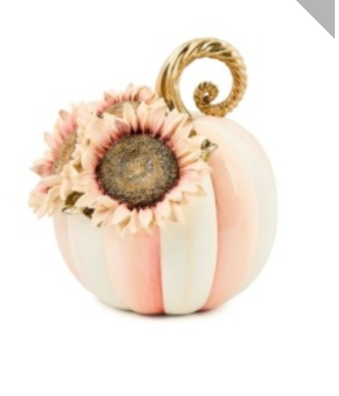 rosy stripe small sunflower pumpkin