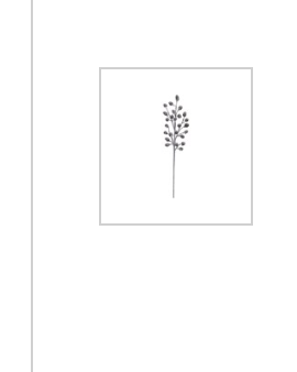 30"H Natural Pinecone Stem, Snow Finish