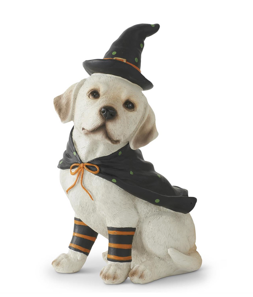 8 Inch Resin Dog w/Witch Hat and Cape