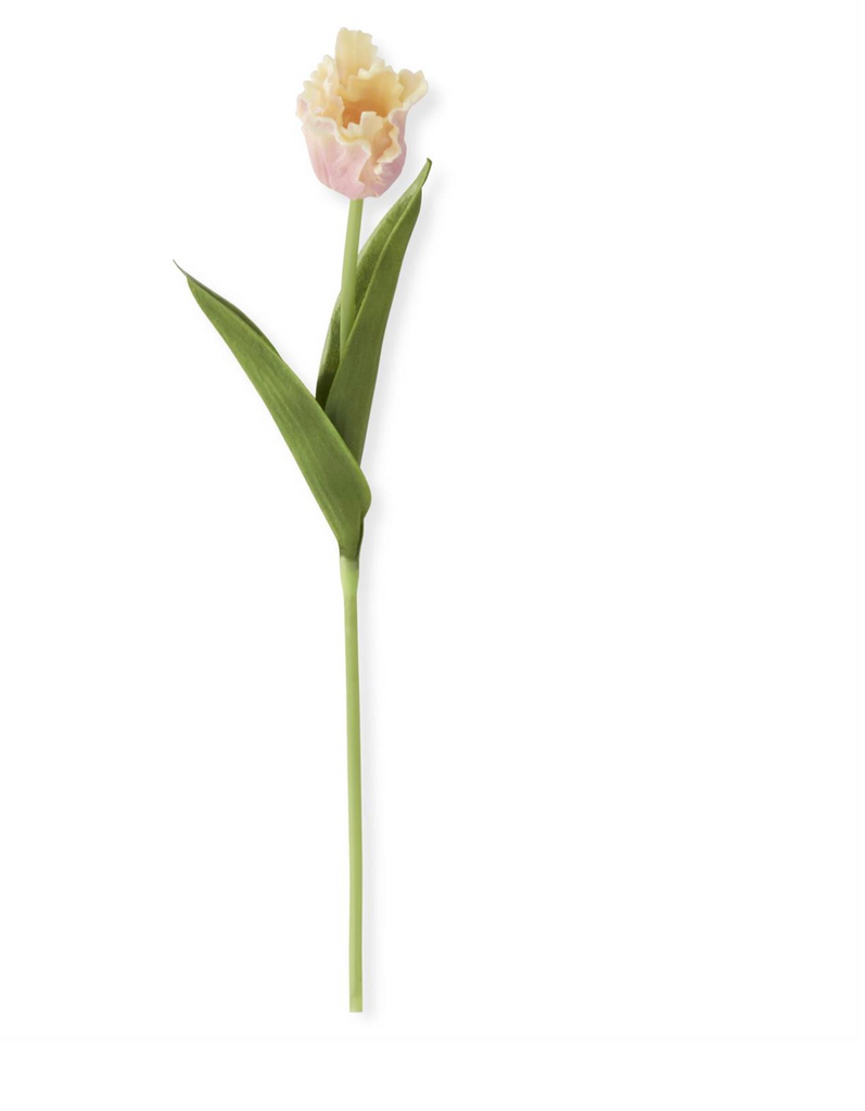 13 Inch Pink & Cream Real Touch Parrot Tulip