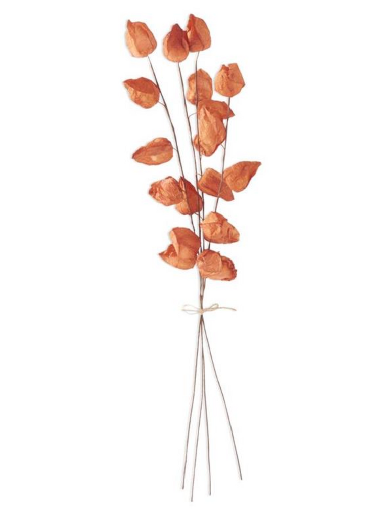 28.5 Inch Orange Chinese Lantern Bundle (4 Stems)