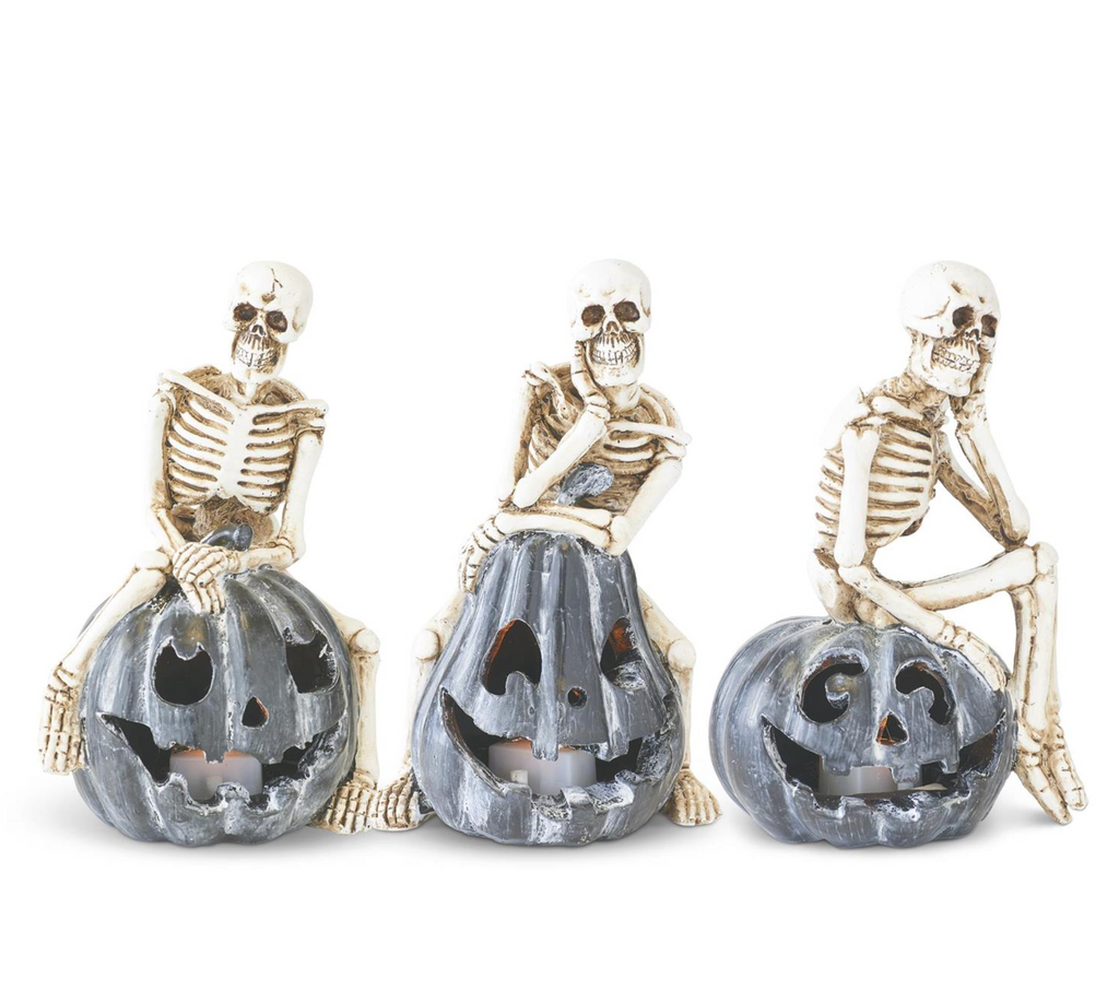 Assorted 5.5 Inch Resin Skeletons on Gray LED Jack