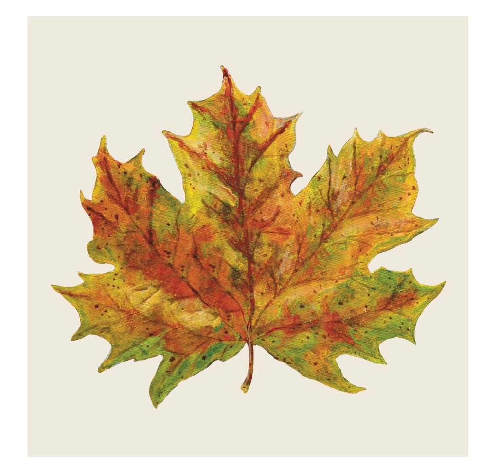 Fall Foliage Cocktail Napkins