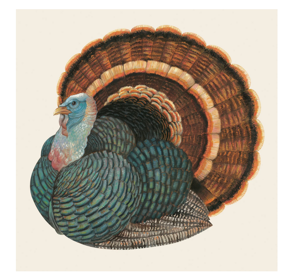 Heritage Turkey Cocktail Napkins