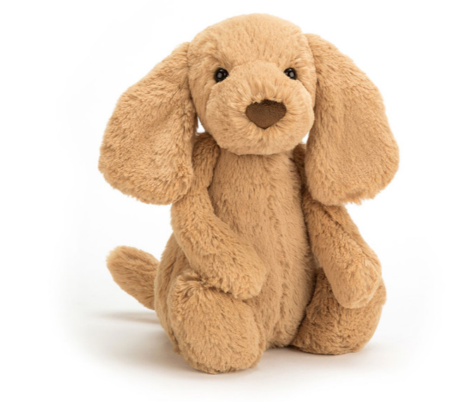 Bashful Toffee Puppy Jellycat