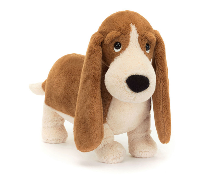 Randall Basset Hound