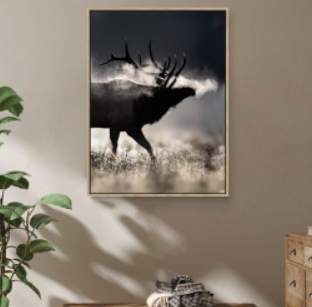 Frosty Morning 47x35 Elk Wall Art