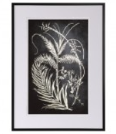 NOIR METALLIC GOLD LEAF BOTANICAL FRAMED W/ GLASS