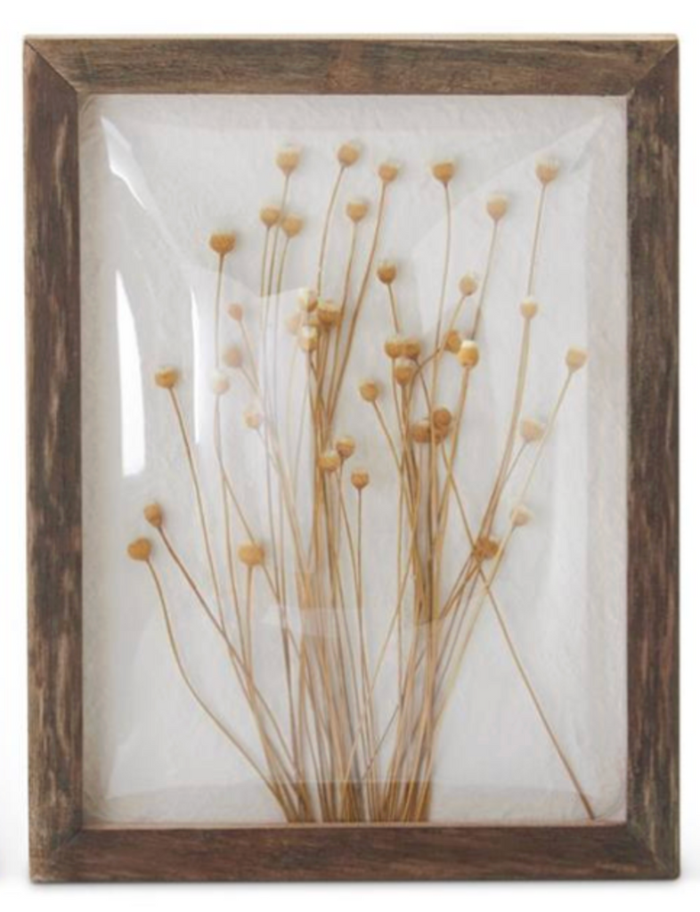 10 Inch Assorted Dome Front Dried Floral Wall Art