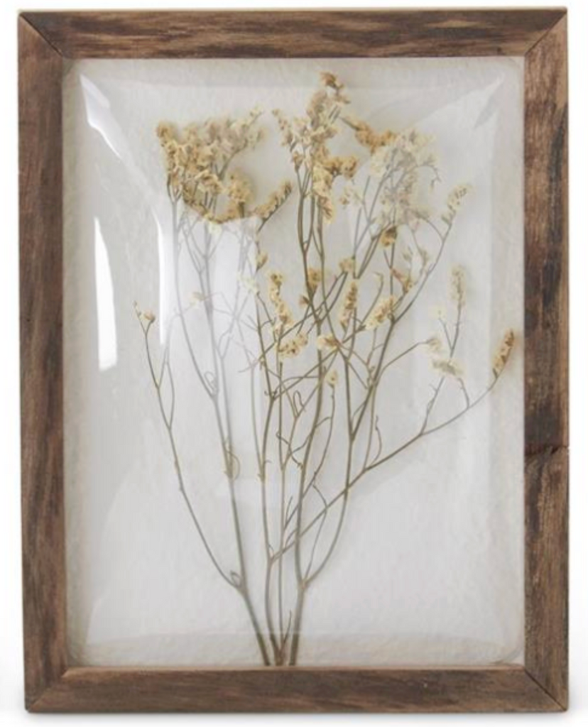 10 Inch Assorted Dome Front Dried Floral Wall Art