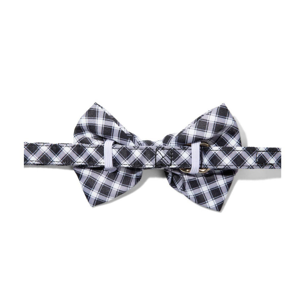 Leighton Bow Tie | Black Dog Bow Tie | Dog Collar Accessory 