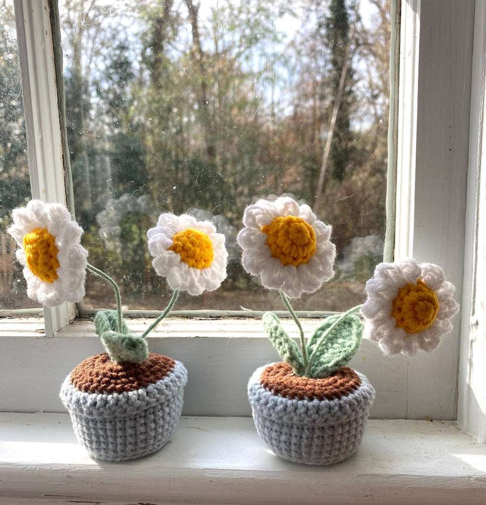 White Daisy Crocheted Flower Pot, Hand-knitted Flower Gift