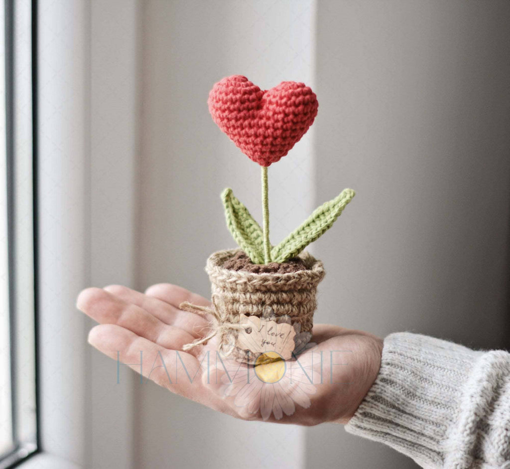 Crochet Heart Plant Pot Gift, Crochet a Plant, Handmade Gift