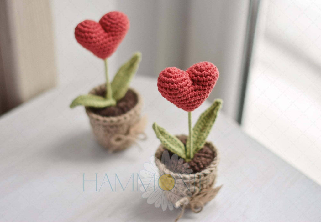 Crochet Heart Plant Pot Gift, Crochet a Plant, Handmade Gift