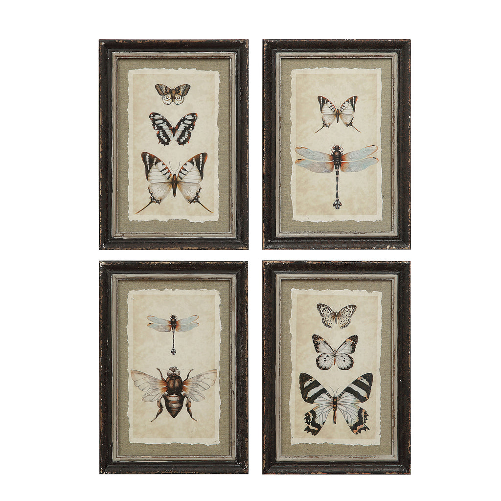 Wood Framed Insect Print /4 Styles Individually