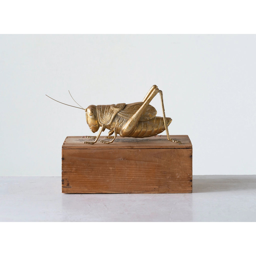 Resin Cricket