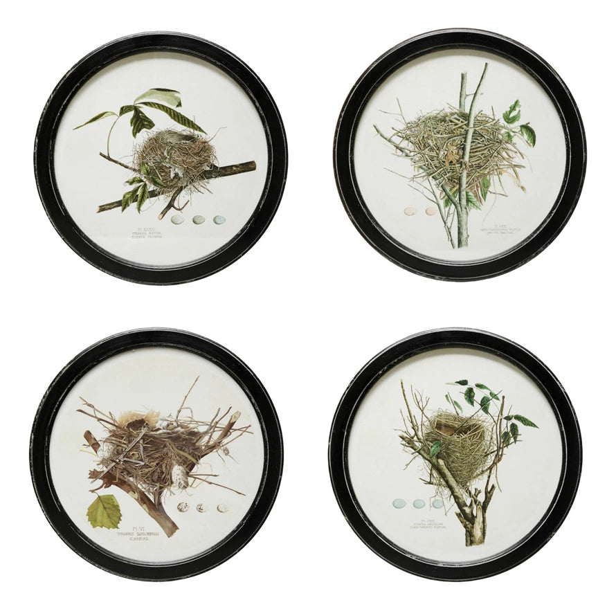Framed Wall Decor with Nest Print, 4 Styles