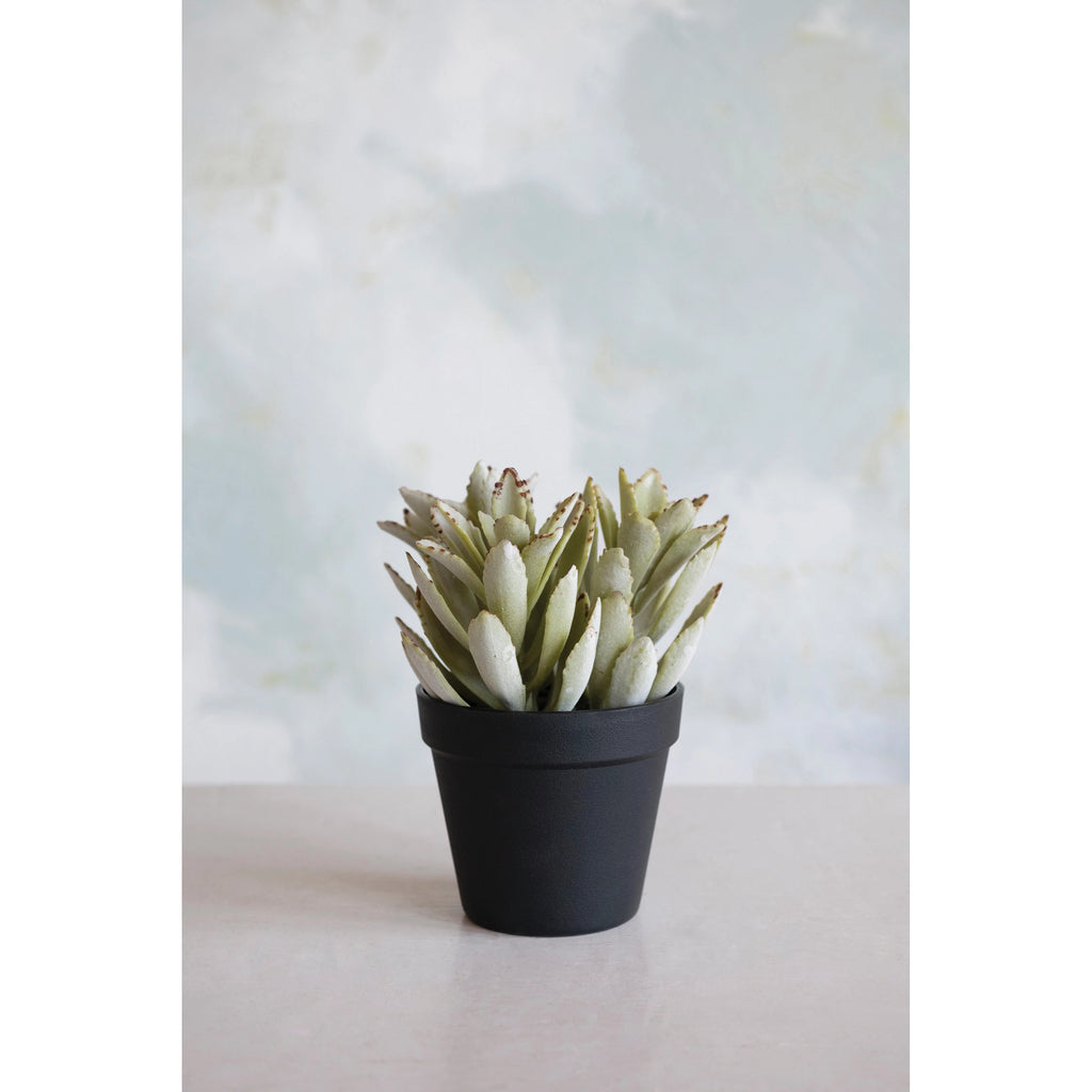 Faux Succulent in Pot