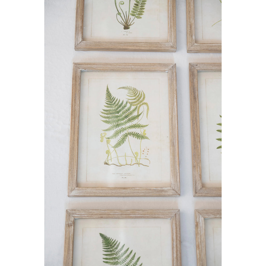 Wood Framed Glass Wall Décor with Fern Fronds Image, 6 Styles