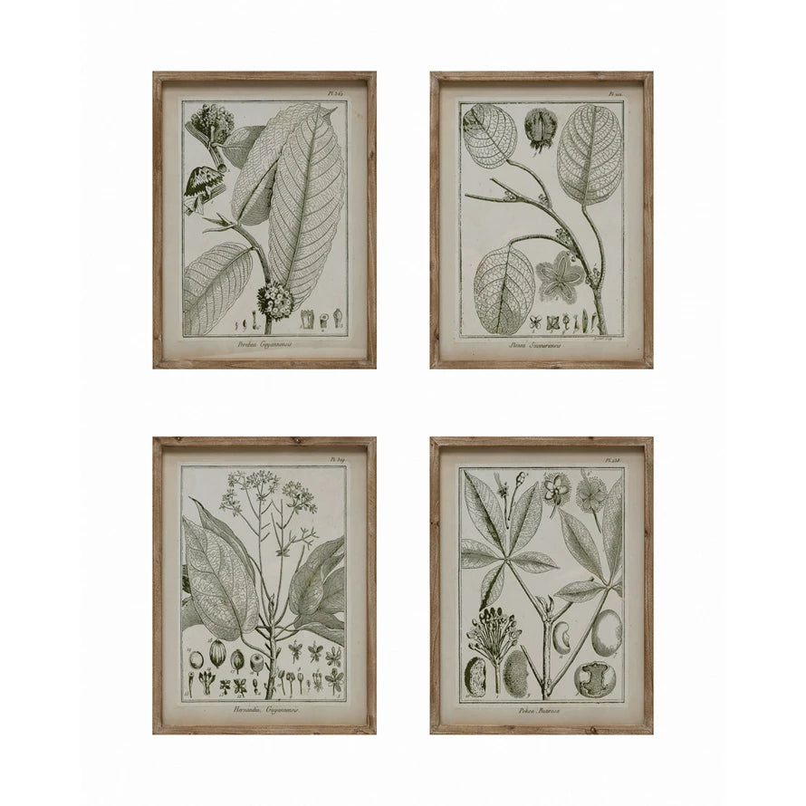 Wood Framed Glass Wall Décor with Plant, 4 Styles