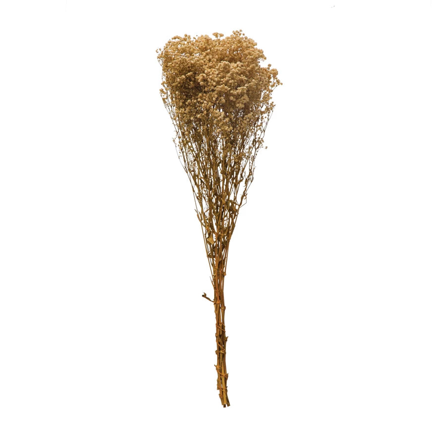 Dried Natural Baby's Breath Bunch – Hallstrom Home