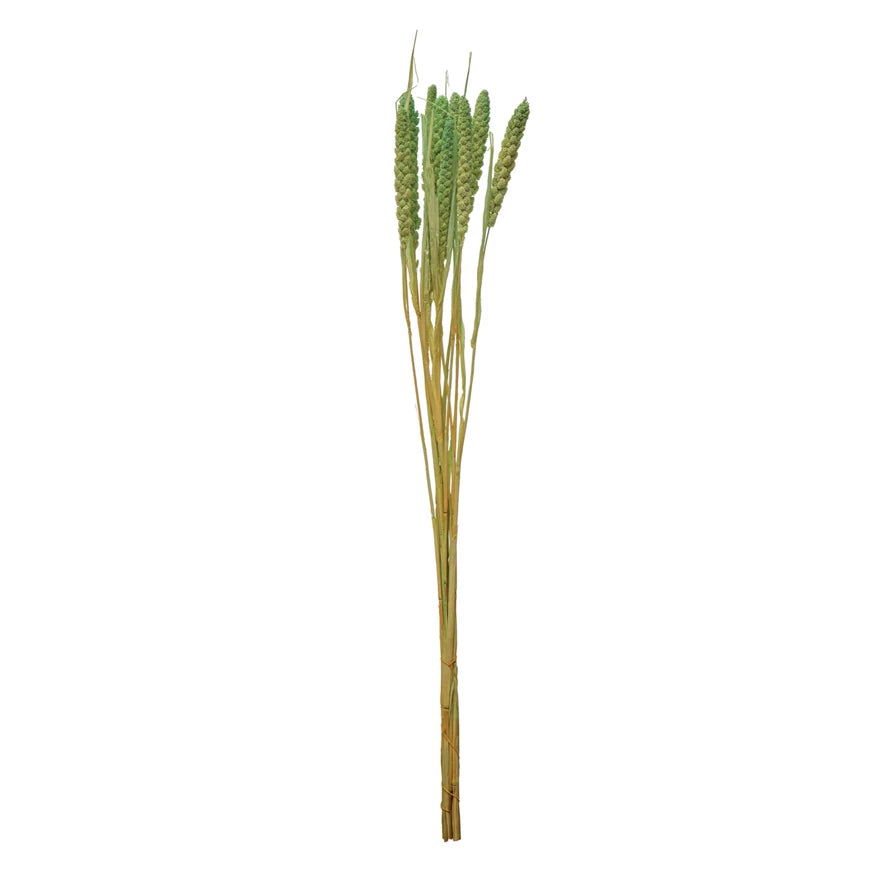 Dried Natural Foxtail Bunch, Mint Color