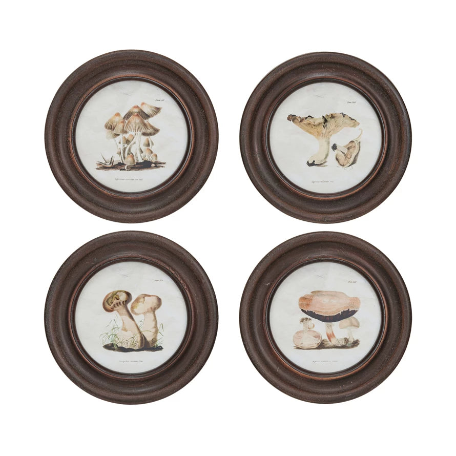 Framed Vintage Reproduction Wall Décor w/ Mushrooms Image, 4 Styles