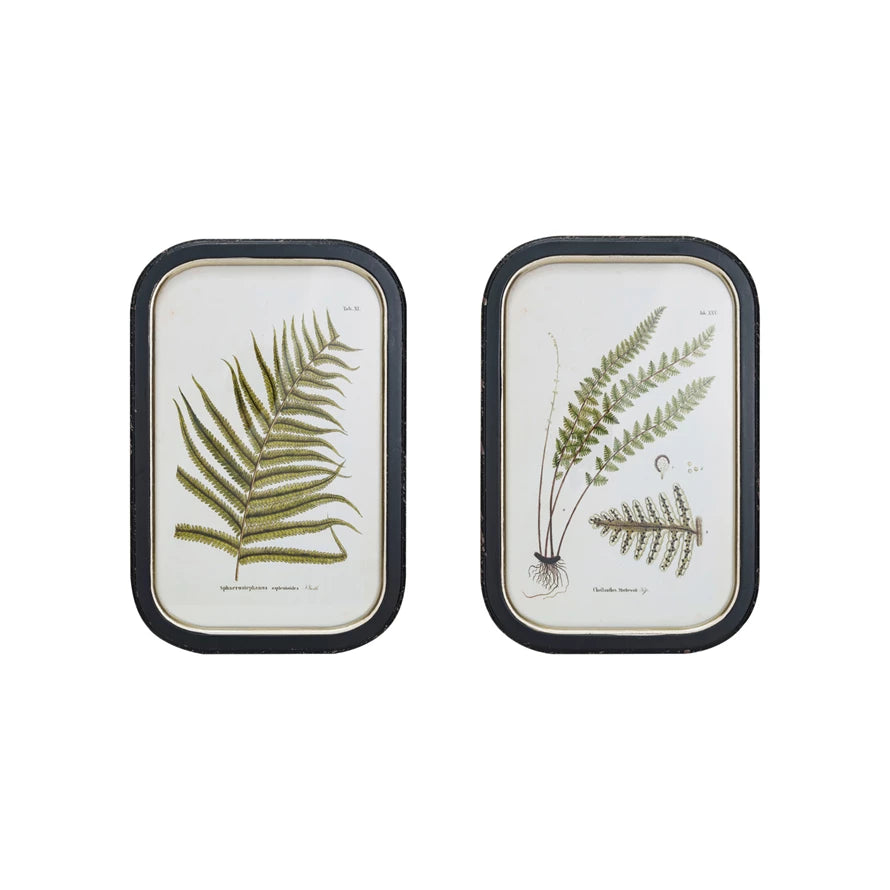 Framed Wall Décor w/ Fern Fronds Image, 2 Styles