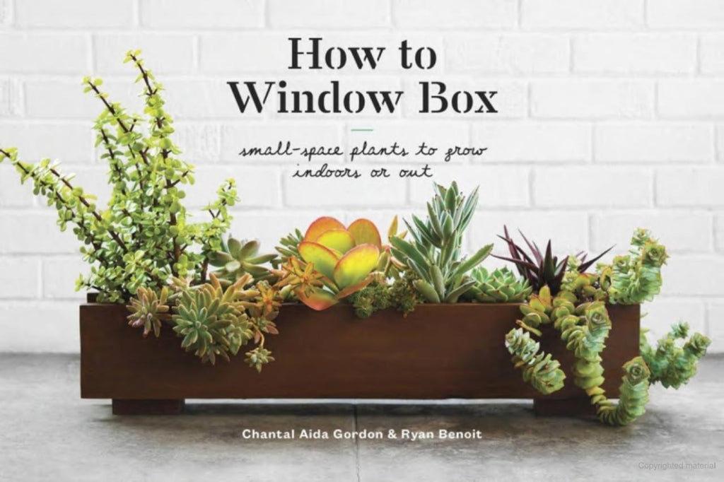 How To Window Box By Chantal Aida Gordon & Ryan Benoit